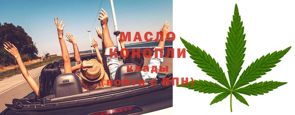 прущие грибы Гусиноозёрск