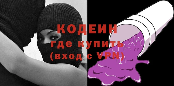 прущие грибы Гусиноозёрск