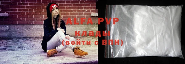 амф Гусев