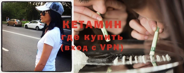 прущие грибы Гусиноозёрск