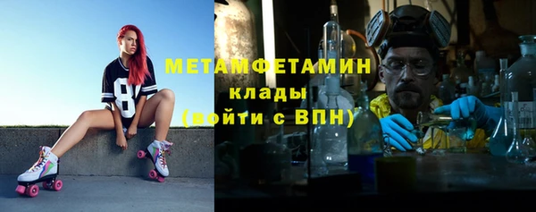 амф Гусев