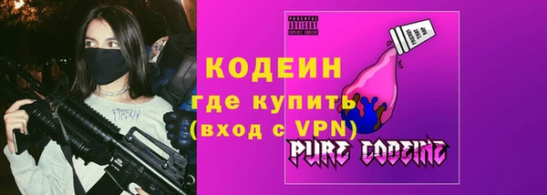 прущие грибы Гусиноозёрск
