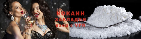 прущие грибы Гусиноозёрск