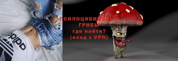 прущие грибы Гусиноозёрск