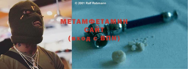 прущие грибы Гусиноозёрск