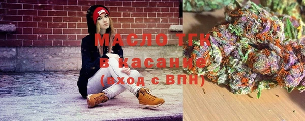 амф Гусев