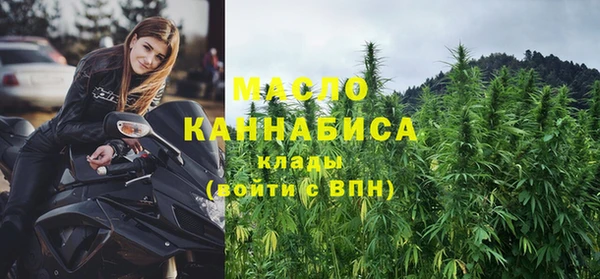 амф Гусев