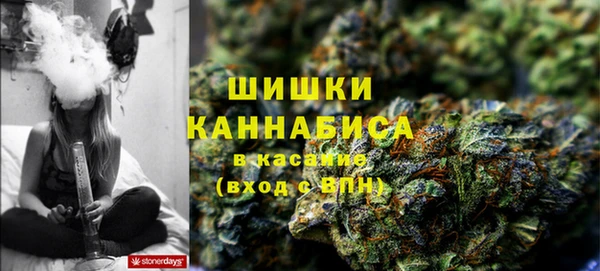 прущие грибы Гусиноозёрск