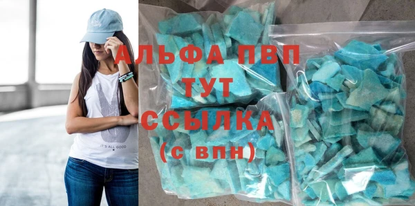 амф Гусев