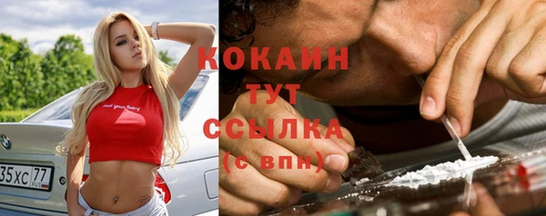 прущие грибы Гусиноозёрск