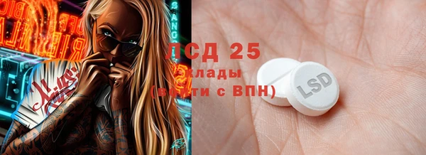 амф Гусев
